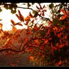 20101104_1074